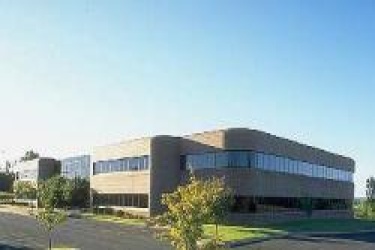 Branchburg Plaza, Somerset, New Jersey, ,Office,For Rent,3421 Route 22 East,Branchburg Plaza,2,11035