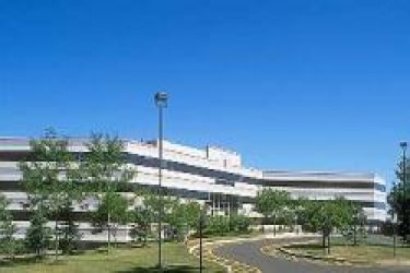 Allen Center, Somerset, New Jersey, ,Office,For Rent,150 Allen Rd.,Allen Center,4,11046