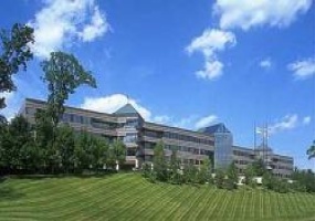 400 Interpace Parkway, Morris, New Jersey, ,Office,For Rent,Morris Corporate Center III,400 Interpace Parkway,4,11535