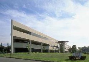 Nine at Parsippany, Morris, New Jersey, ,Office,For Rent,Nine Entin Rd.,Nine at Parsippany,3,11632