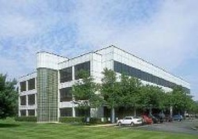 Ivy Center, Morris, New Jersey, ,Office,For Rent,299 Cherry Hill Rd.,Ivy Center,3,11635