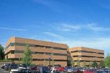 Linden Plaza, Morris, New Jersey, ,Office,For Rent,Nine Campus Drive,Linden Plaza,3,11648