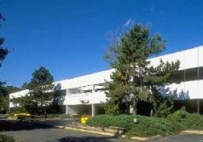 53 Knightsbridge Rd., Middlesex, New Jersey, ,Office,For Rent,Silverline Corporate Plaza,53 Knightsbridge Rd.,2,12939