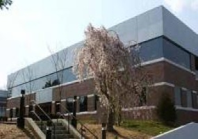 Park Place, Morris, New Jersey, ,Office,For Rent,220 Park Ave.,Park Place,3,2323