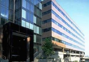 Four Falls Corporate Center, Montgomery, Pennsylvania, ,Office,For Rent,Building 200,Four Falls Corporate Center,6,15995