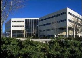 Walnut Hill Plaza, Montgomery, Pennsylvania, ,Office,For Rent,150 S. Warner Rd.,Walnut Hill Plaza,4,16304