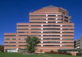 213 Court St., Middlesex, Connecticut, ,Office,For Rent,Middlesex Corporate Center,213 Court St.,12,16518