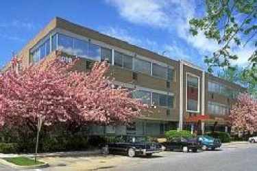 Cherry Hill Office Center, Camden, New Jersey, ,Office,For Rent,1030 Kings Hwy. North,Cherry Hill Office Center,3,17731