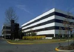 Laurel Corporate Center, Burlington, New Jersey, ,Office,For Rent,2000 Midlantic Drive,Laurel Corporate Center,4,18108