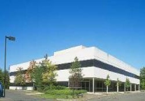 Bridgeview Plaza, Middlesex, New Jersey, ,Office,For Rent,220 Old New Brunswick Rd.,Bridgeview Plaza,2,2753