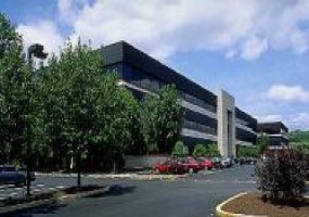 1550 Pond Rd., Lehigh, Pennsylvania, ,Office,For Rent,Winchester Plaza,1550 Pond Rd.,3,19106